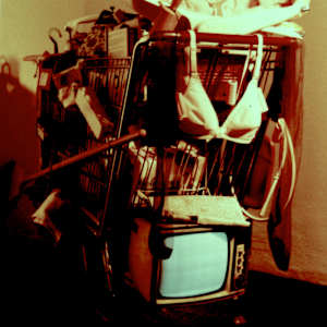 Hers, 1981, a collaborative installation with Menucha by Patricia Buck, Image 1.