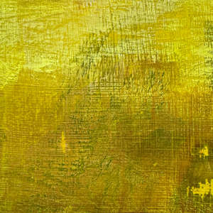 Fin by Patricia Buck  Image: Detail: Fin, 2000. 
Acrylic on closed Birch panel.
24”Hx24”W