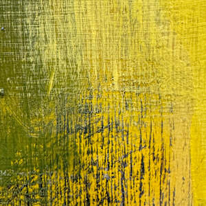 Fin by Patricia Buck  Image: Detail: Fin, 2000. 
Acrylic on closed Birch panel.
24”Hx24”W