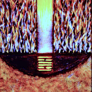 Collecting Vessel II by Patricia Buck, Image 13.