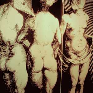 The Three Witches (installation detail) by Patricia Buck, Image 2.