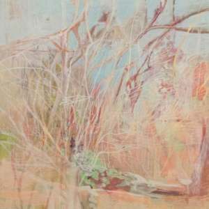 Lowveld bush and rock by Angela Briggs