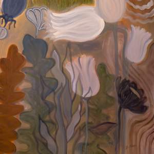 Echinacea by Diego Alba, Image 3.