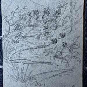 Trail at Big Bend by Arthur Gebhardt, Image 1.