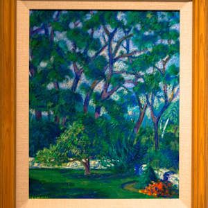 Backyard Tree by Arthur Gebhardt, Image 1.