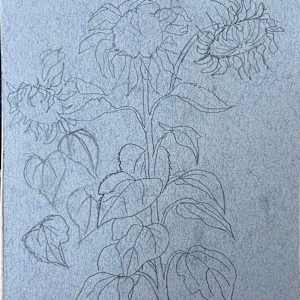 Sunflower Sketch by Arthur Gebhardt, Image 4.