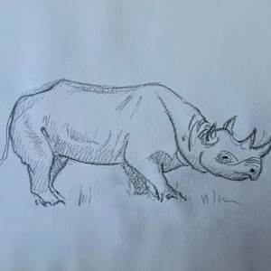 Rhino Sketch by Arthur Gebhardt, Image 3.