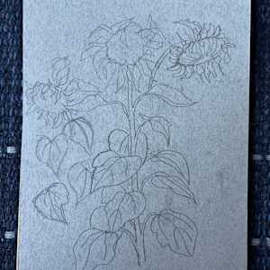 Sunflower Sketch by Arthur Gebhardt, Image 3.