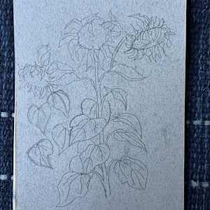 Sunflower Sketch by Arthur Gebhardt, Image 1.