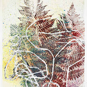 Echo Ferns.01 by Seth A. Crayton