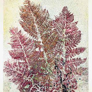 Echo Ferns.02 by Seth A. Crayton