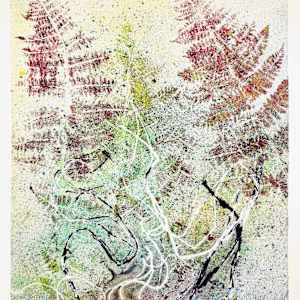 Echo Ferns.03 by Seth A. Crayton