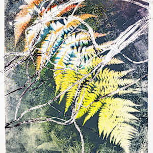 Ethereal Fronds.01 by Seth A. Crayton