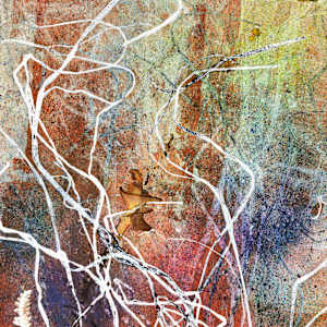 Rustic Spectrum 1 by Seth A. Crayton #wabisethsabi, Image 1.