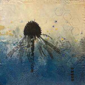Echinacea VIII by Karen Faller