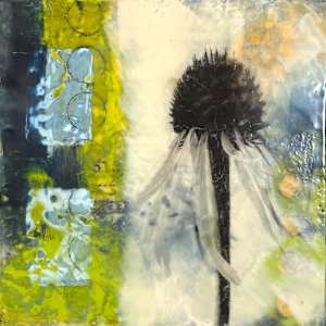 Echinacea V by Karen Faller