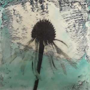 Echinacea VI by Karen Faller
