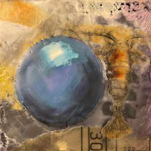 A drop of Copepod by Karen Faller