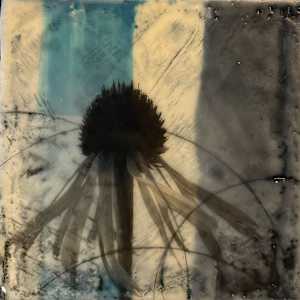 Echinacea XI by Karen Faller