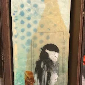 Perched in a box by Karen Faller