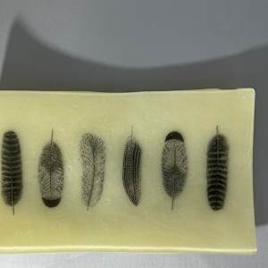Feathers by Julie Root Sawyer, Image 9.