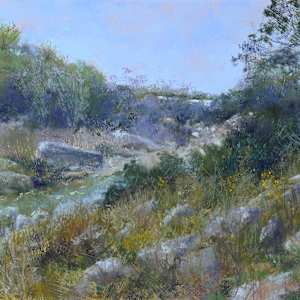 Hill Country Rocky Creek by Lorraine McFarland