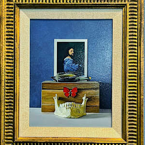 "Still Life with African Nymphalidae" by Christ Young