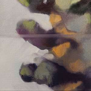 Sprouts by Alexander Grimm  Image: Close-up