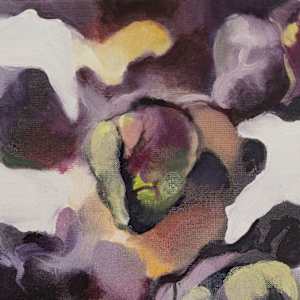 Sprouts by Alexander Grimm  Image: Close-up