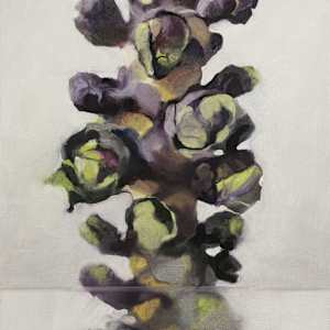 Sprouts by Alexander Grimm