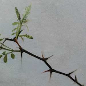 Thorny Branch by Alexander Grimm  Image: Detail