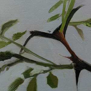 Thorny Branch by Alexander Grimm  Image: Detail