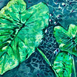 Elephant Ears