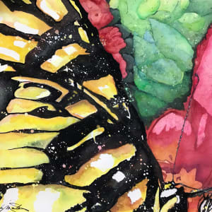 Zinnia's Monarch by Liz Morton