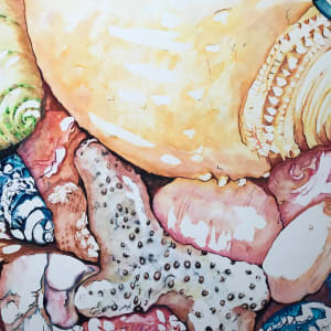 Seashells No. 2 by Liz Morton