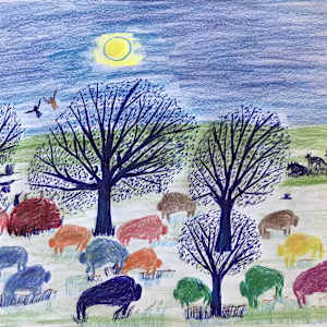 Rainbow of Buffalo by Spoon Jackson