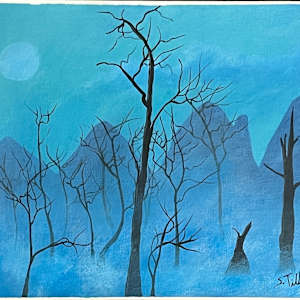 Foggy Bottom by Selvyn Tillett