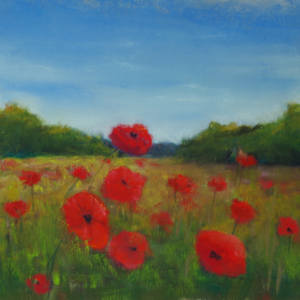 In the Meadow by Shelley Loring