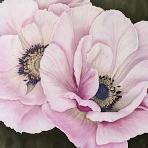 Anemone Blooms by Ann Travis, Image 1.