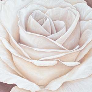 Champagne Heirloom by Ann Travis