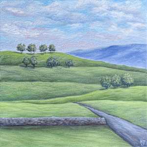 Countryside by Ann Travis