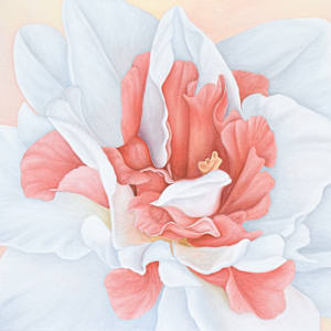 Daffodil by Ann Travis