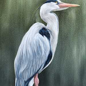 Heron by Ann Travis