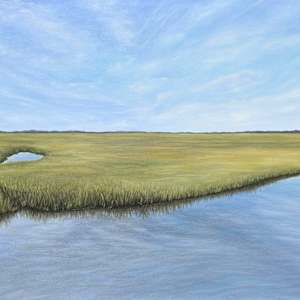 Summer Marsh by Ann Travis
