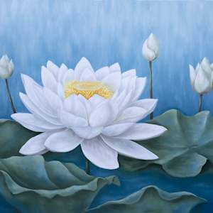 White Lotus by Ann Travis
