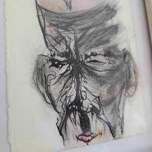 Follicles, No. 2 by Tomasz Wiszniewski 