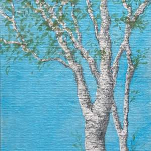 Early Spring Birches #2 by Gabrielle Senza 