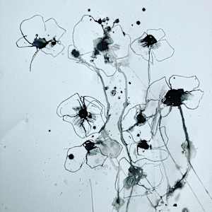 Poppies by Patricia Coughlin