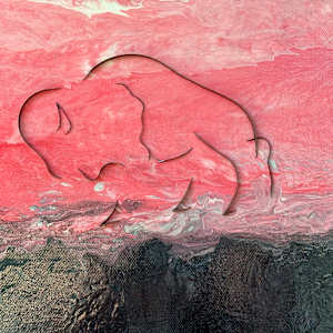 Buffalo Sky Time by "Kaveka", Image 6.
