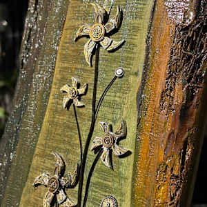 Times Star Flowers by "Kaveka", Image 4.